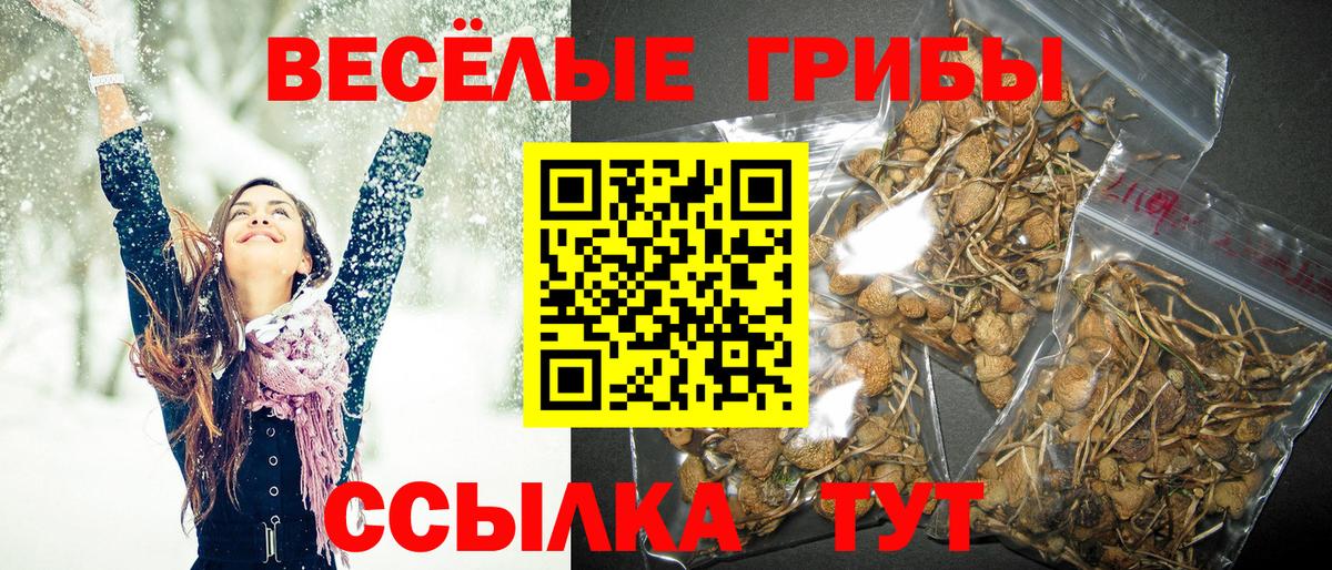 Галлюциногенные грибы MAGIC MUSHROOMS Кимры