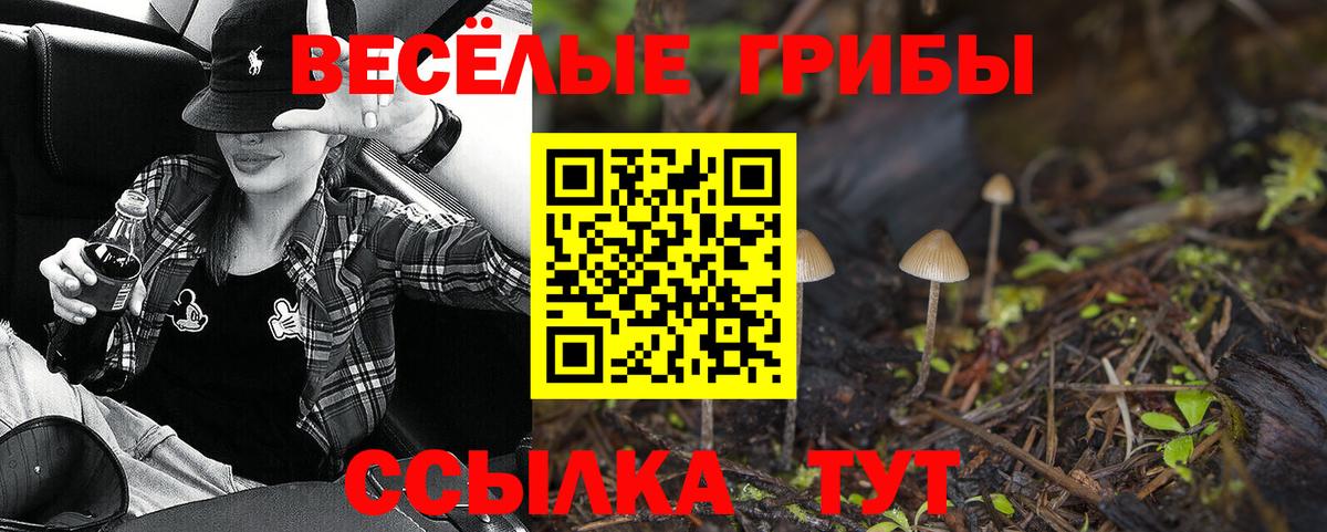 Галлюциногенные грибы Magic Shrooms  Вход с VPN  Кимры  Псилоцибиновые грибы мицелий 